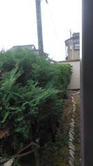 ビフォー (4)_co_com