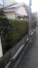 アフター (3)_co_com