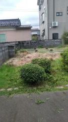 ビフォー (1)_co_com